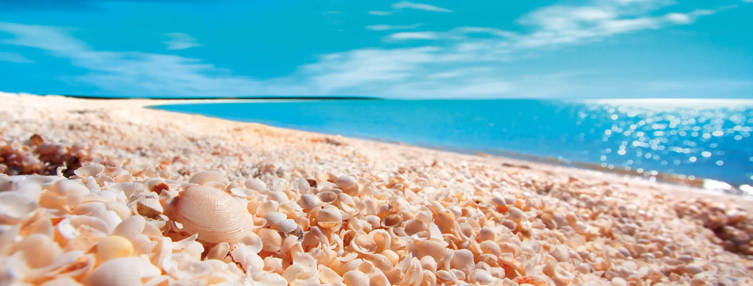 Image for Shell Beach